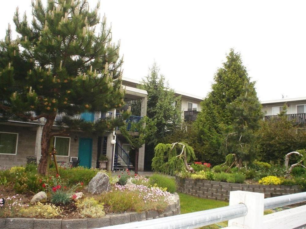 Bayside Motor Inn Blaine Exteriér fotografie